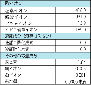 みゆき源泉（陰イオン）